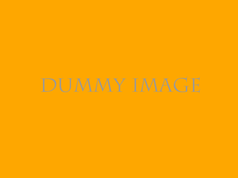 Dummy image