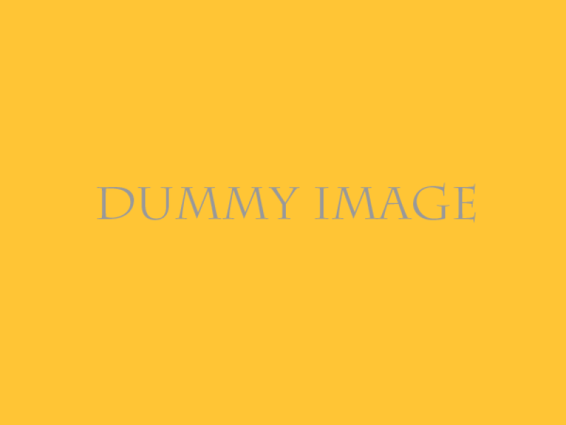 Dummy image
