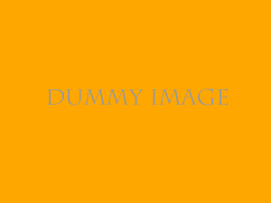 Dummy image