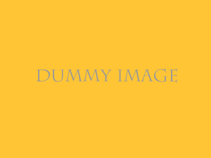 Dummy image